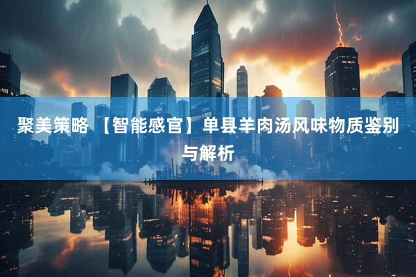 聚美策略 【智能感官】单县羊肉汤风味物质鉴别与解析