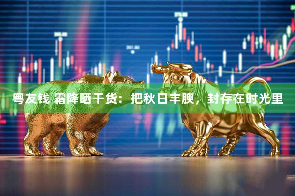粤友钱 霜降晒干货：把秋日丰腴，封存在时光里
