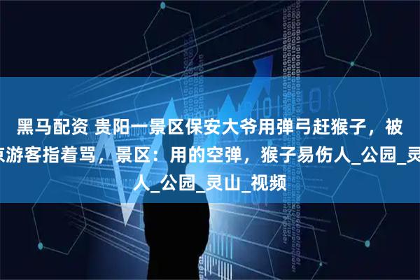 黑马配资 贵阳一景区保安大爷用弹弓赶猴子，被自称南京游客指着骂，景区：用的空弹，猴子易伤人_公园_灵山_视频