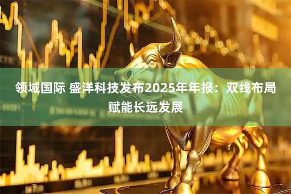 领域国际 盛洋科技发布2025年年报：双线布局赋能长远发展