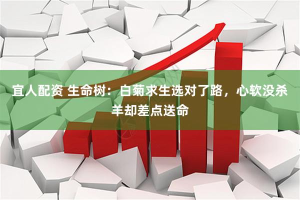 宜人配资 生命树：白菊求生选对了路，心软没杀羊却差点送命