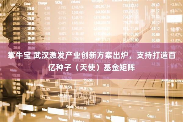 掌牛宝 武汉激发产业创新方案出炉，支持打造百亿种子（天使）基金矩阵